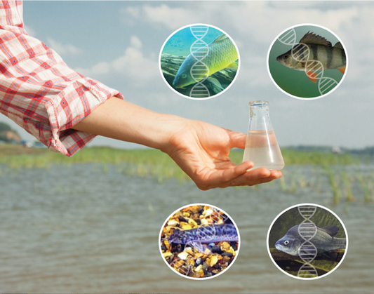 Water Testing